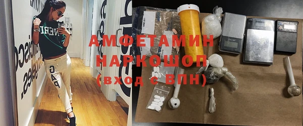 гидра Аркадак